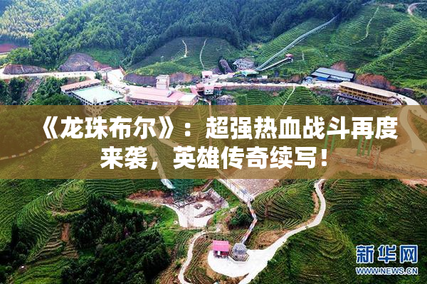 《龙珠布尔》：超强热血战斗再度来袭，英雄传奇续写！
