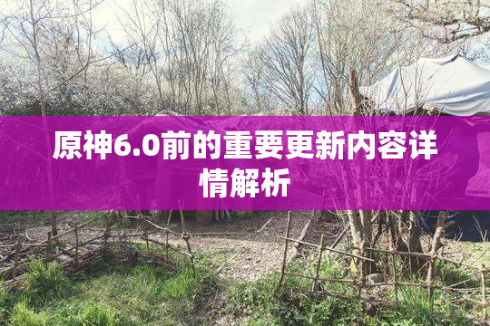 原神6.0前的重要更新内容详情解析