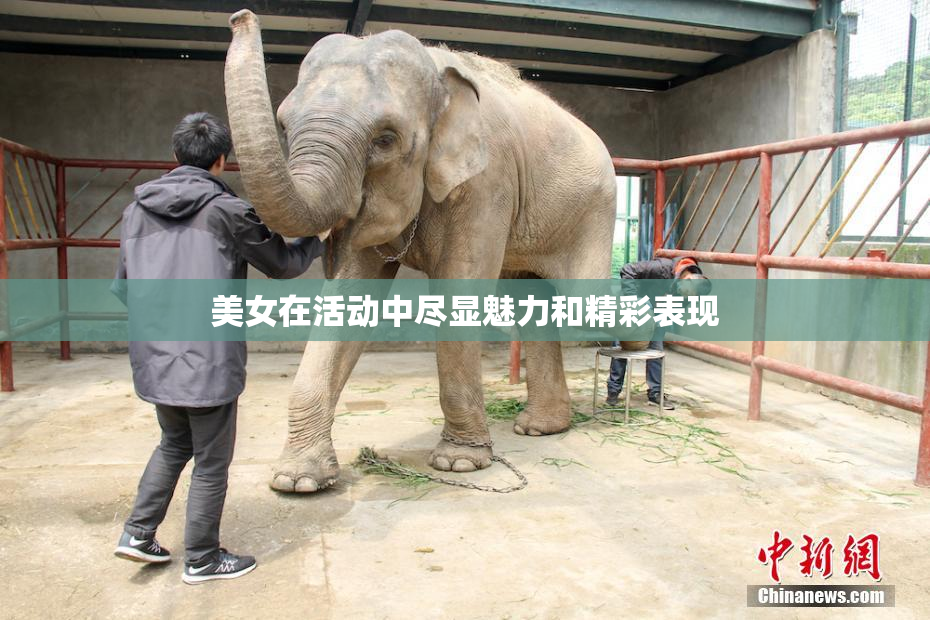 美女在活动中尽显魅力和精彩表现