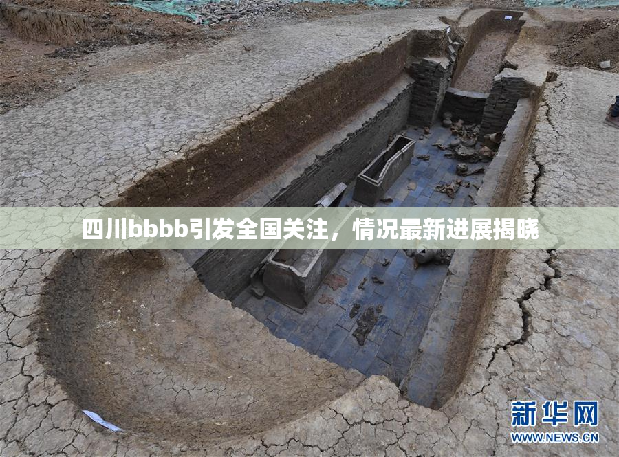 四川bbbb引发全国关注，情况最新进展揭晓
