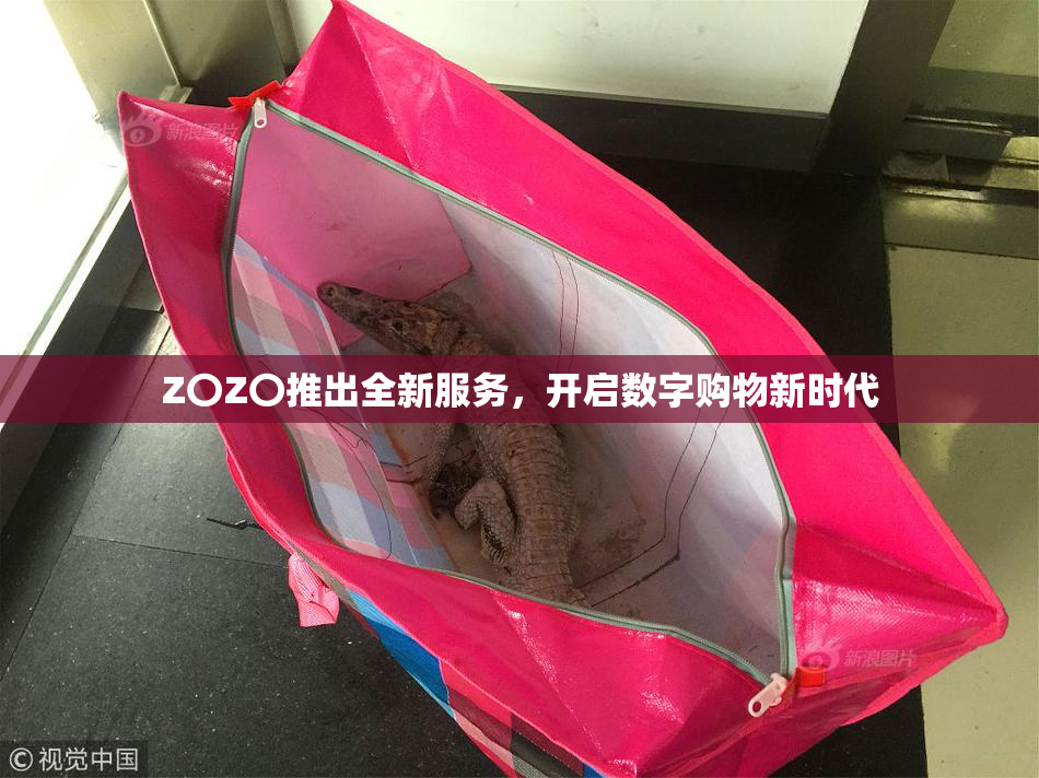 Z〇Z〇推出全新服务，开启数字购物新时代