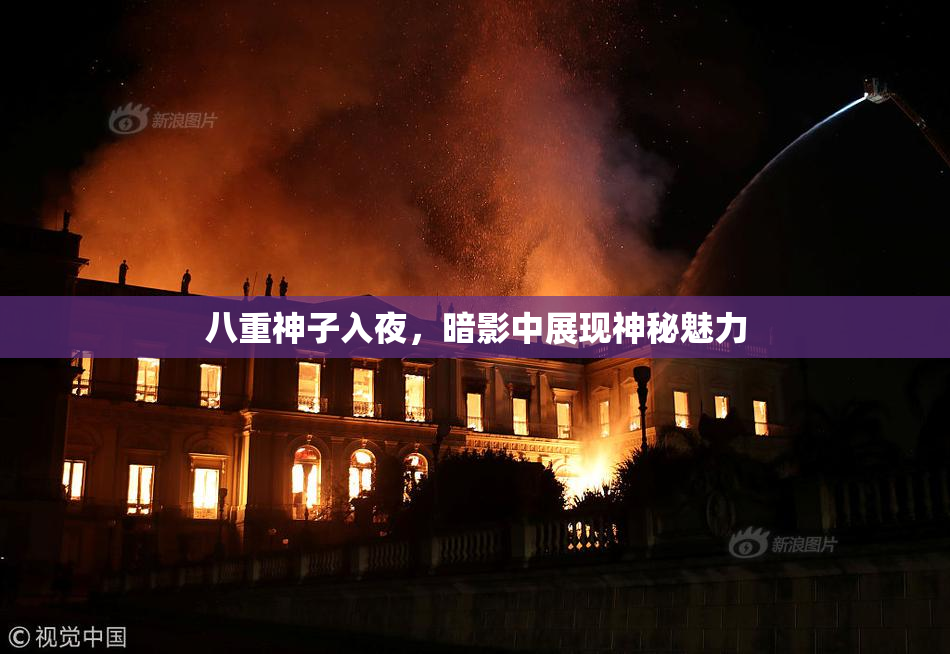 八重神子入夜，暗影中展现神秘魅力