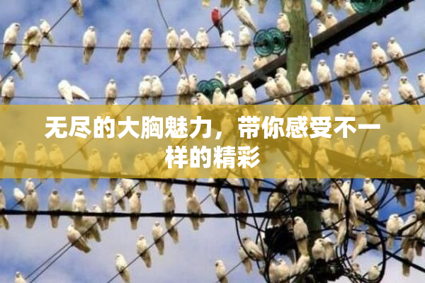 无尽的大胸魅力，带你感受不一样的精彩