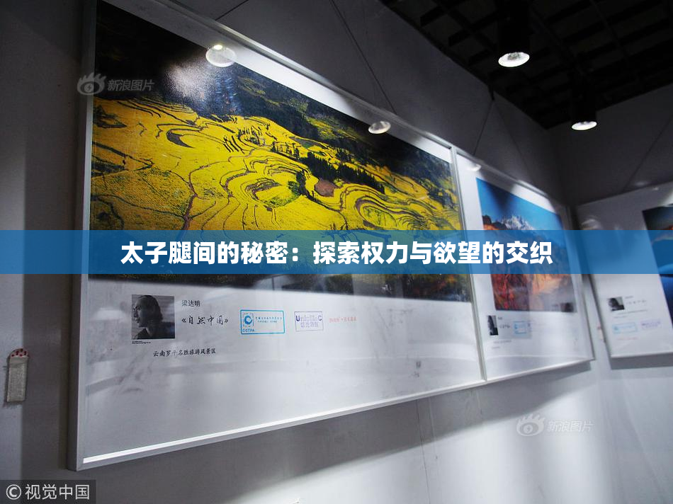 太子腿间的秘密：探索权力与欲望的交织