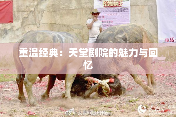 重温经典：天堂剧院的魅力与回忆