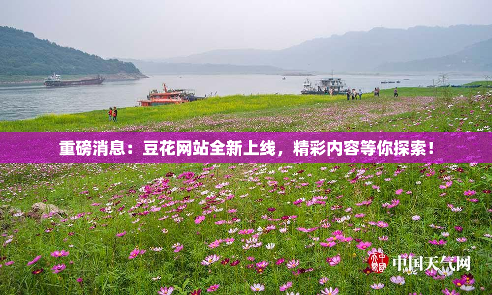 重磅消息：豆花网站全新上线，精彩内容等你探索！