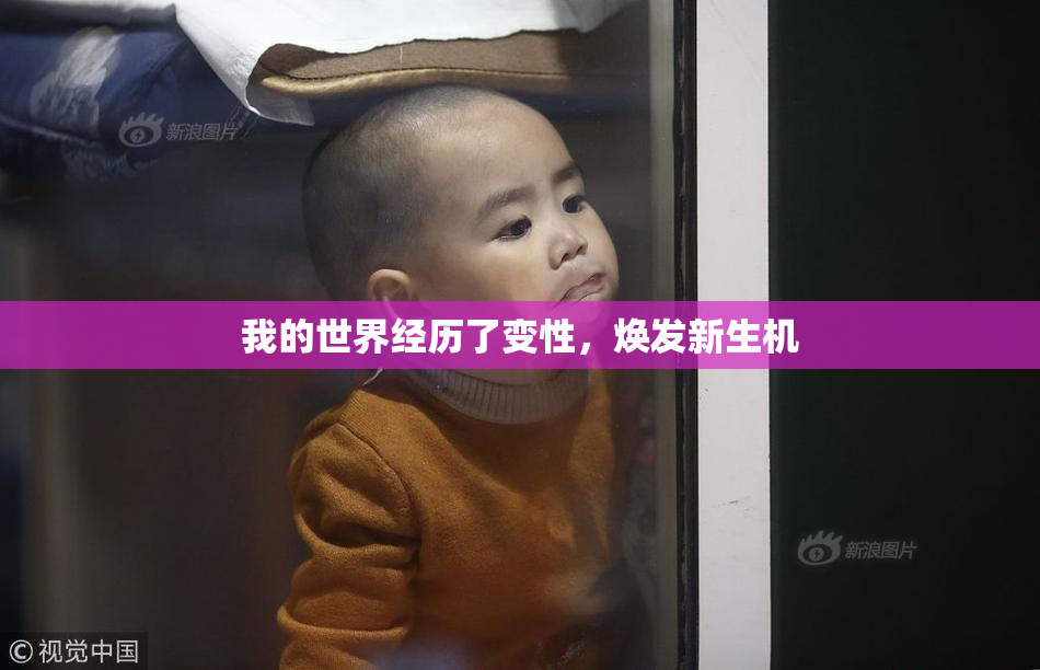 我的世界经历了变性，焕发新生机