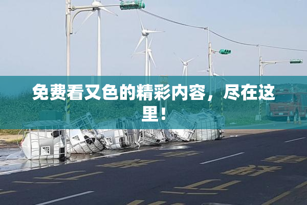 免费看又色的精彩内容，尽在这里！