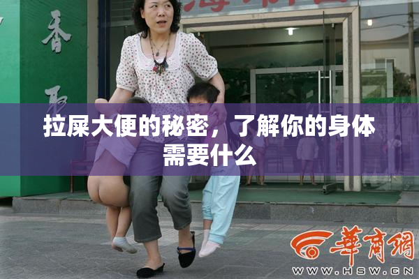 拉屎大便的秘密，了解你的身体需要什么