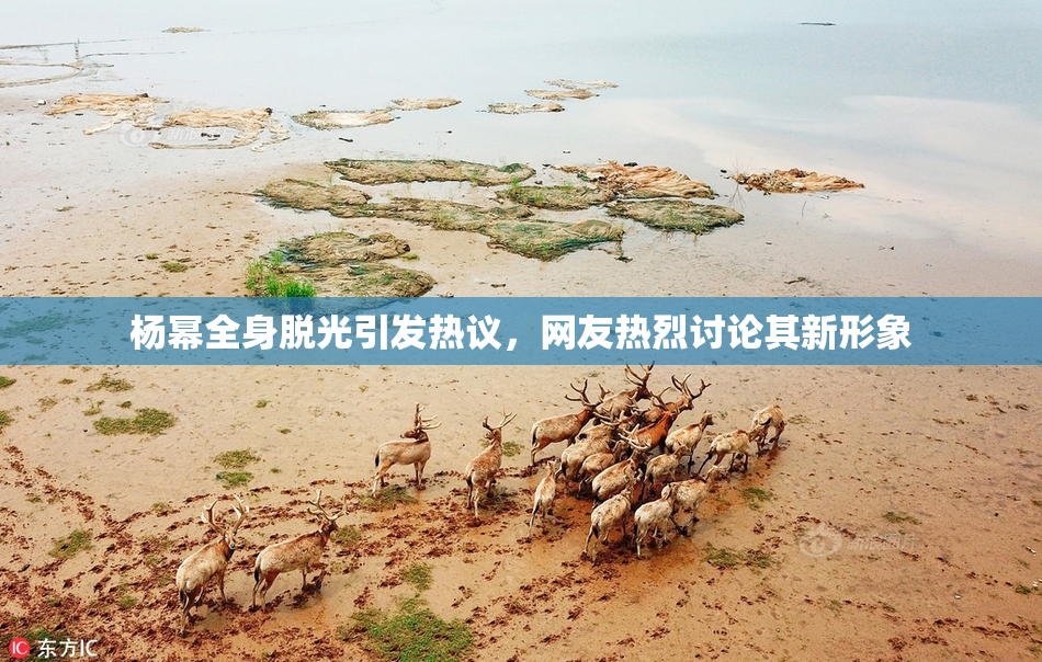杨幂全身脱光引发热议，网友热烈讨论其新形象