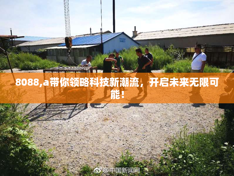 8088,a带你领略科技新潮流，开启未来无限可能！