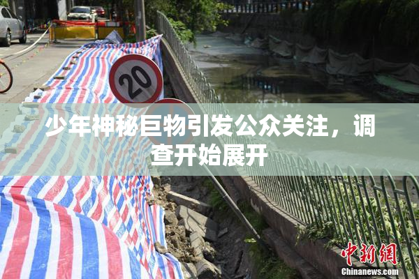 少年神秘巨物引发公众关注，调查开始展开
