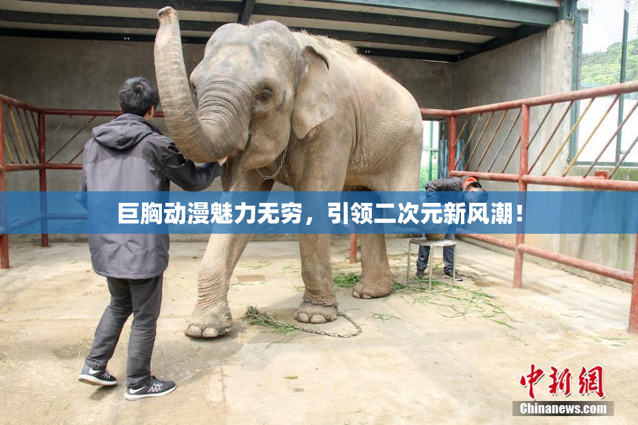 巨胸动漫魅力无穷，引领二次元新风潮！