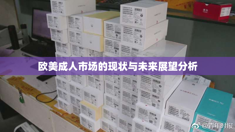 欧美成人市场的现状与未来展望分析