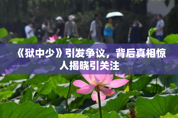 《狱中少》引发争议，背后真相惊人揭晓引关注
