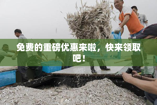 免费的重磅优惠来啦，快来领取吧！