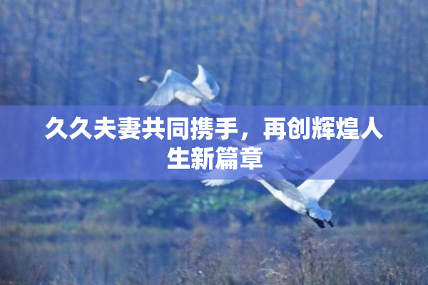 久久夫妻共同携手，再创辉煌人生新篇章