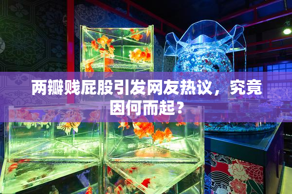 两瓣贱屁股引发网友热议，究竟因何而起？
