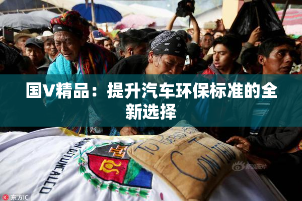 国V精品：提升汽车环保标准的全新选择