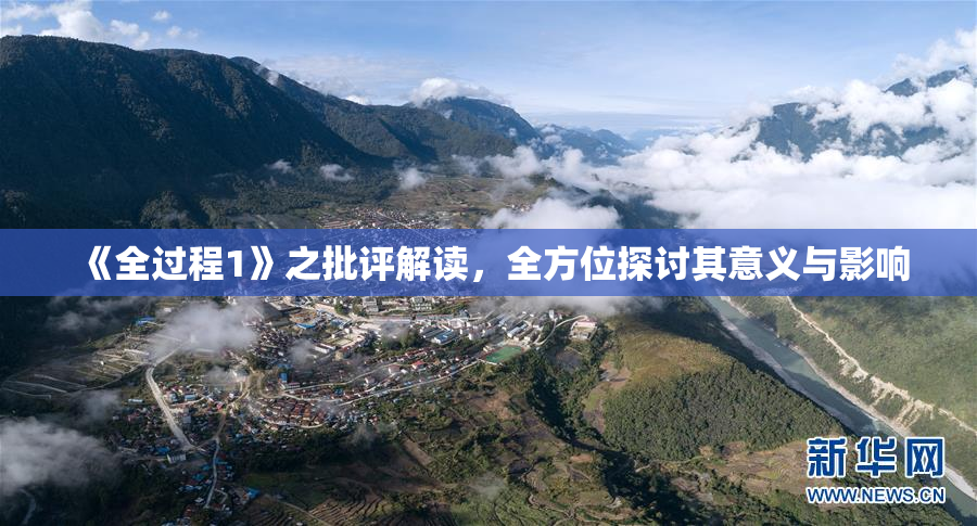 《全过程1》之批评解读，全方位探讨其意义与影响