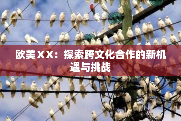欧美ⅩX：探索跨文化合作的新机遇与挑战