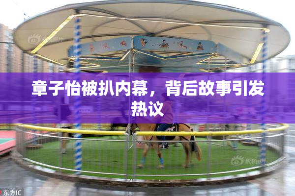 章子怡被扒内幕，背后故事引发热议
