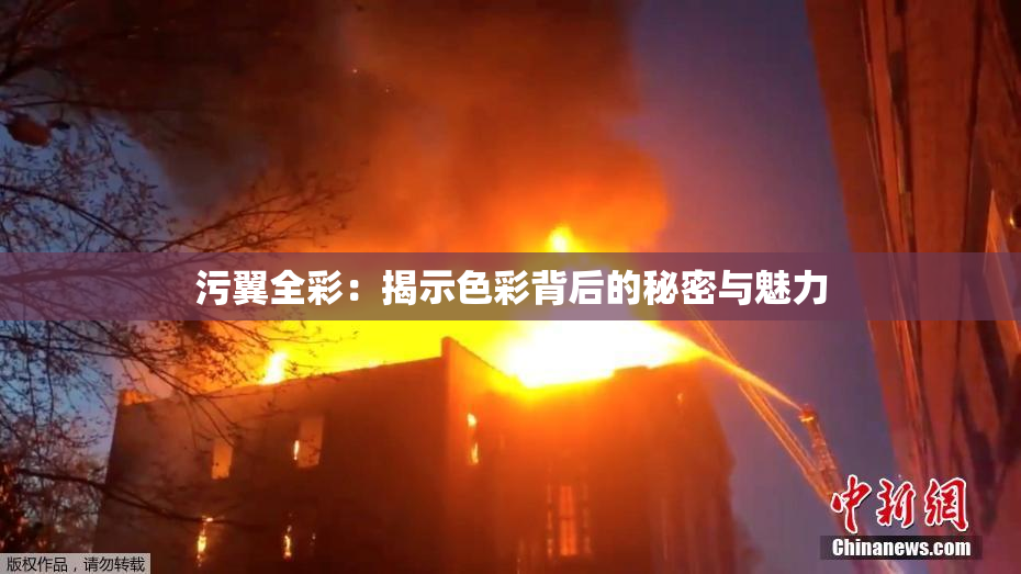 污翼全彩：揭示色彩背后的秘密与魅力