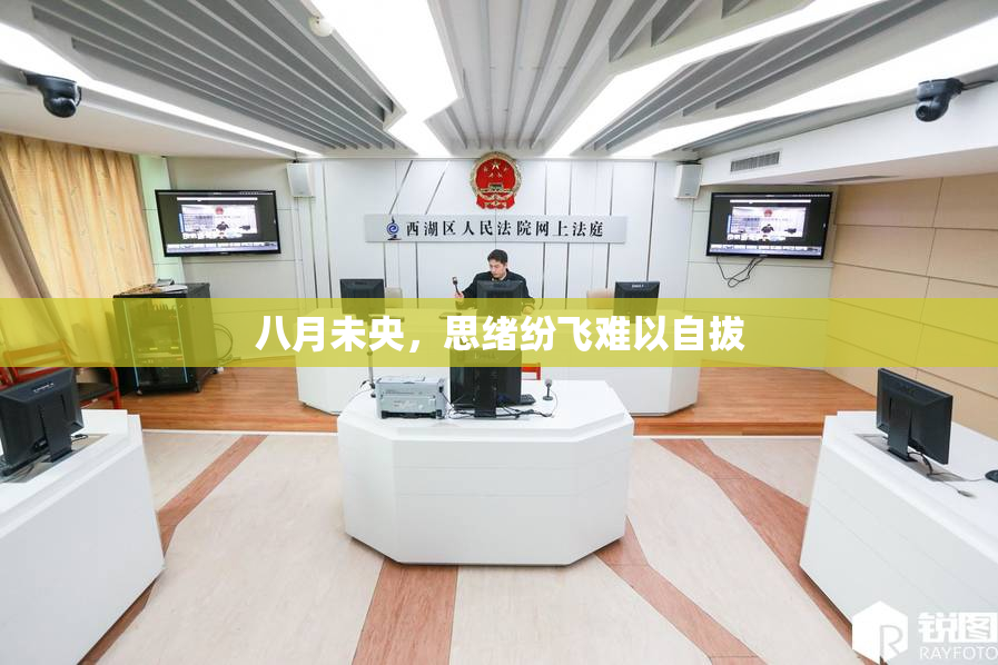 八月未央，思绪纷飞难以自拔