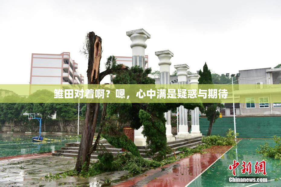 雏田对着啊？嗯，心中满是疑惑与期待
