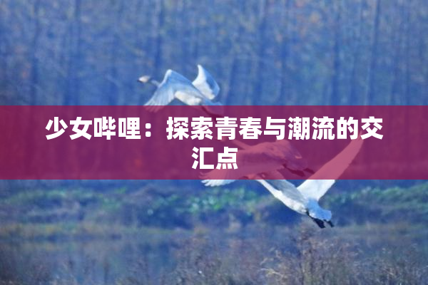少女哔哩：探索青春与潮流的交汇点