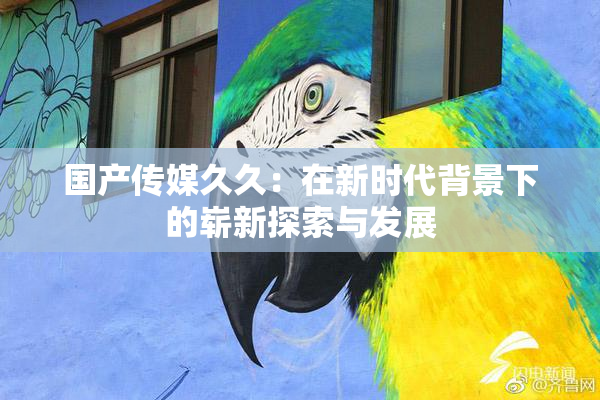 国产传媒久久：在新时代背景下的崭新探索与发展