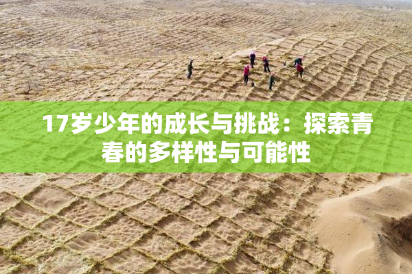 17岁少年的成长与挑战：探索青春的多样性与可能性