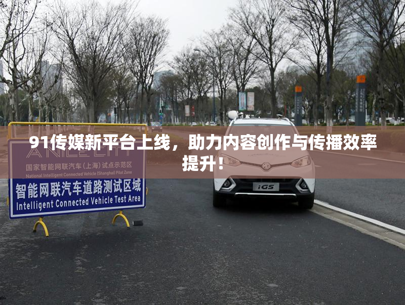 91传媒新平台上线，助力内容创作与传播效率提升！