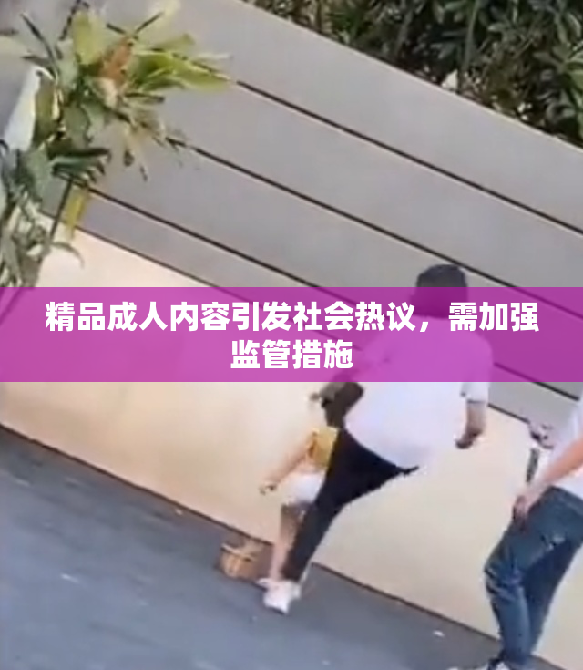 精品成人内容引发社会热议，需加强监管措施