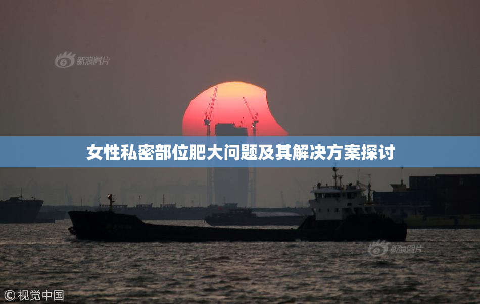 女性私密部位肥大问题及其解决方案探讨