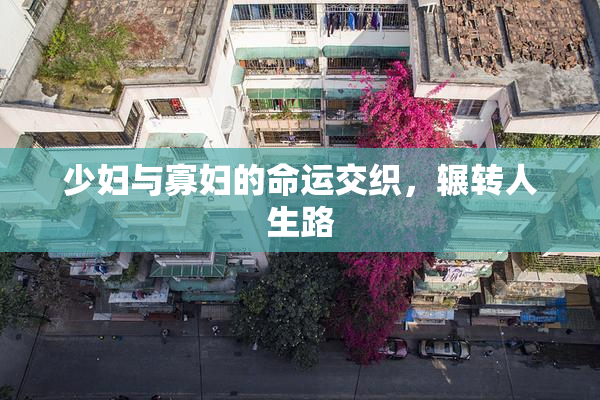 少妇与寡妇的命运交织，辗转人生路