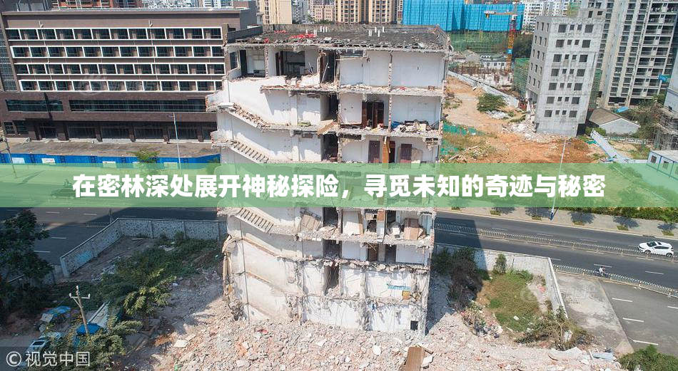 在密林深处展开神秘探险，寻觅未知的奇迹与秘密