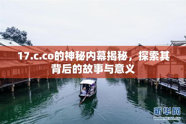 17.c.co的神秘内幕揭秘，探索其背后的故事与意义