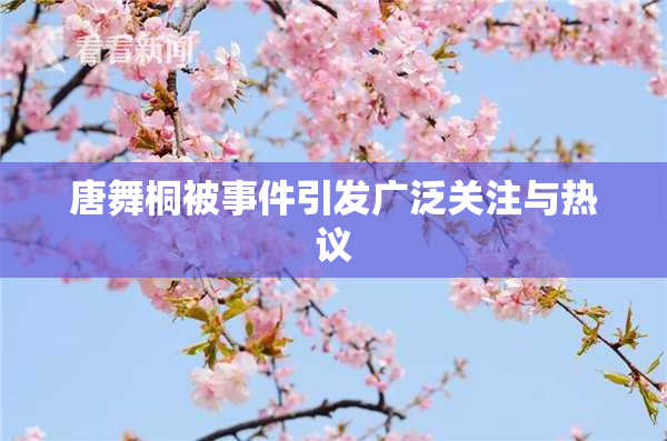 唐舞桐被事件引发广泛关注与热议