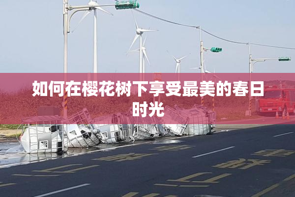 如何在樱花树下享受最美的春日时光