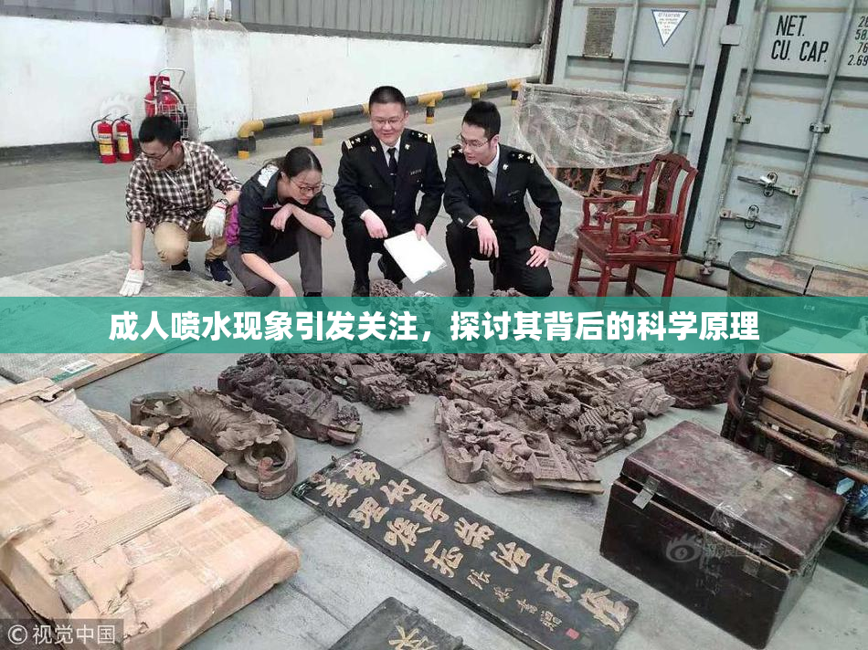 成人喷水现象引发关注，探讨其背后的科学原理