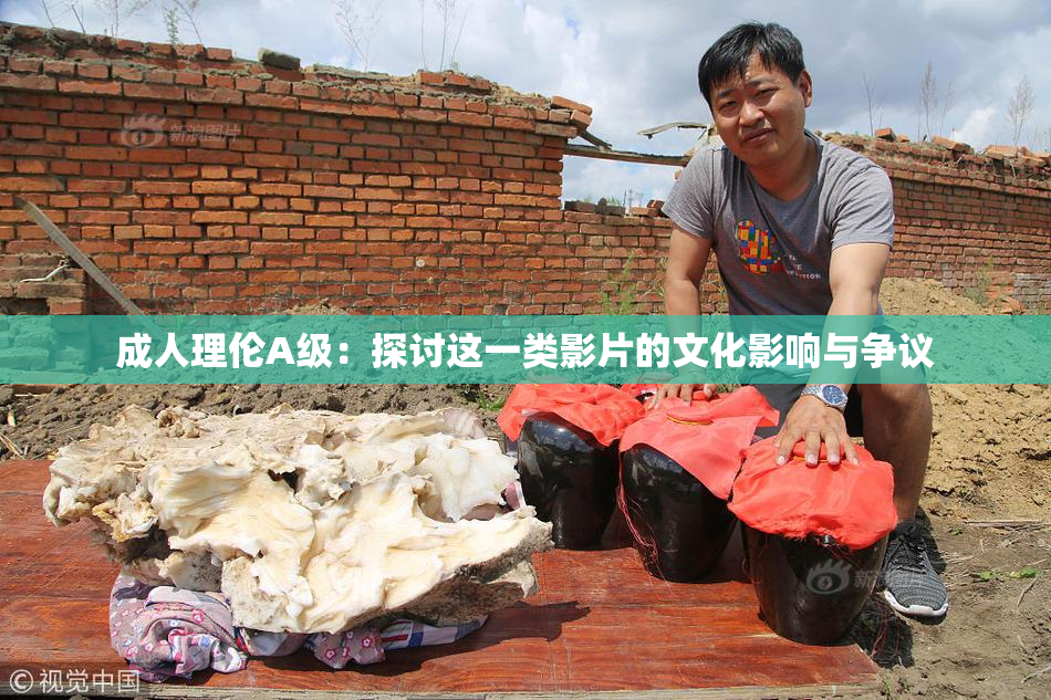 成人理伦A级：探讨这一类影片的文化影响与争议