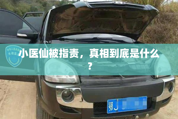 小医仙被指责，真相到底是什么？