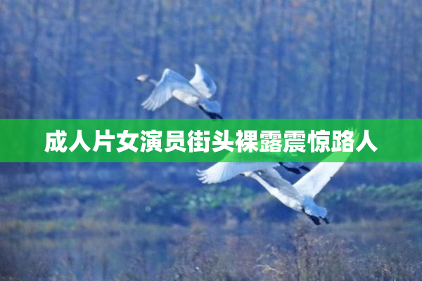成人片女演员街头裸露震惊路人