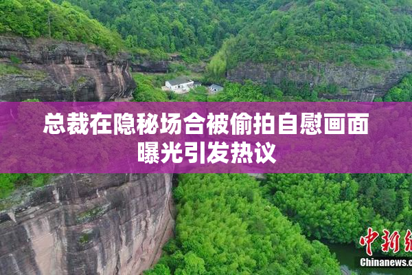 总裁在隐秘场合被偷拍自慰画面曝光引发热议
