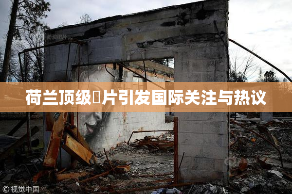荷兰顶级婬片引发国际关注与热议