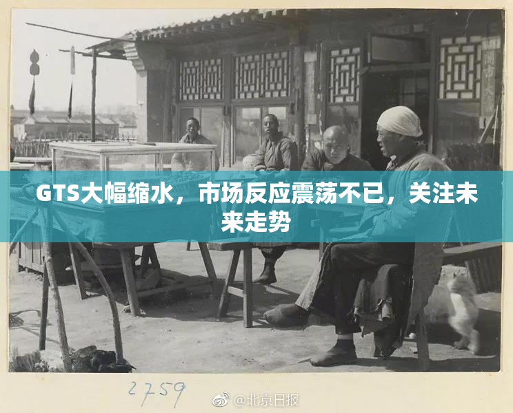 GTS大幅缩水，市场反应震荡不已，关注未来走势