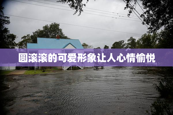圆滚滚的可爱形象让人心情愉悦