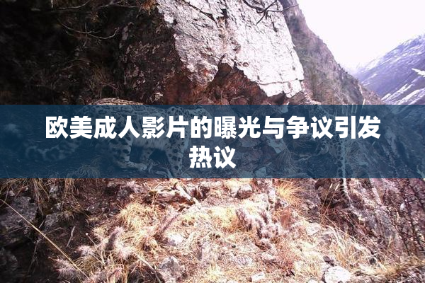 欧美成人影片的曝光与争议引发热议