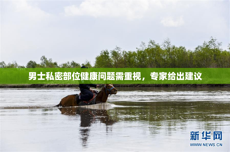 男士私密部位健康问题需重视，专家给出建议